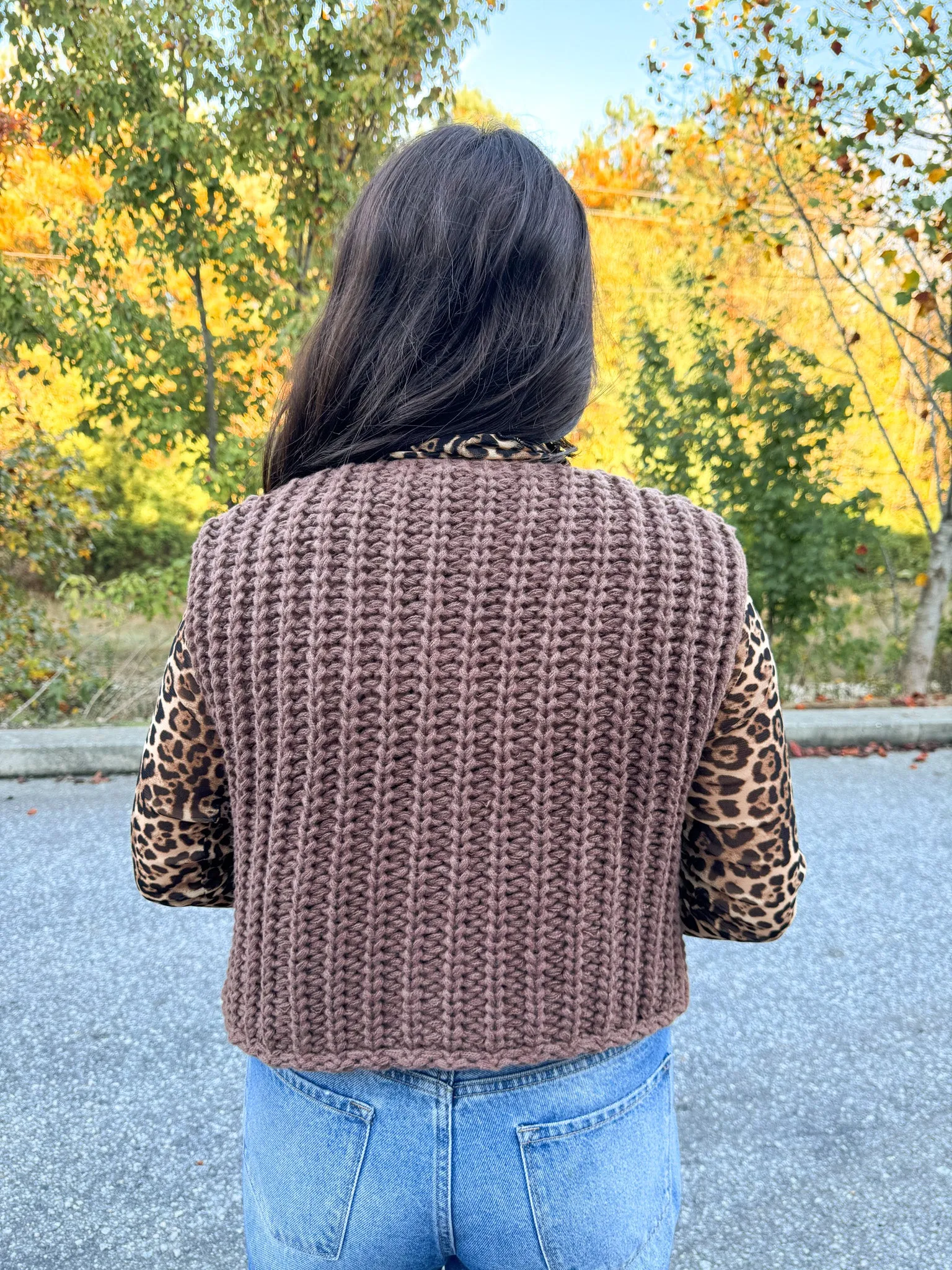 Chunky Brown Sweater Vest